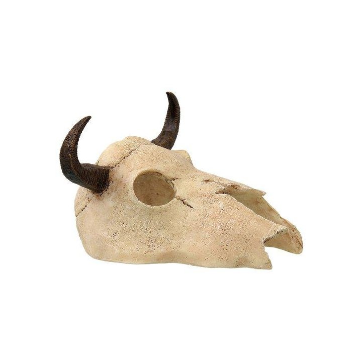 Repti Planet pieni buffalo skull 12,5x11,8x8CM - Repti Planet