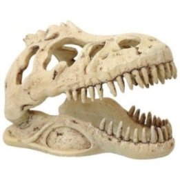 Repti Planet pieni t-rex skull 13,3x8,5x9CM - Repti Planet