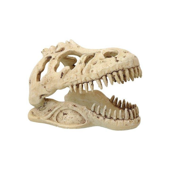 Repti Planet pieni t-rex skull 13,3x8,5x9CM - Repti Planet