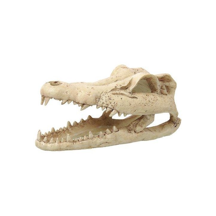 Repti Planet pieni crocodile skull 13,8x6,8x6,5CM - Repti Planet