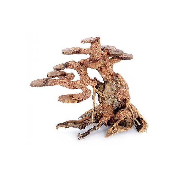 Ozami Akvaristik bonsai puu 23x17x10CM - Ozami Akvaristik