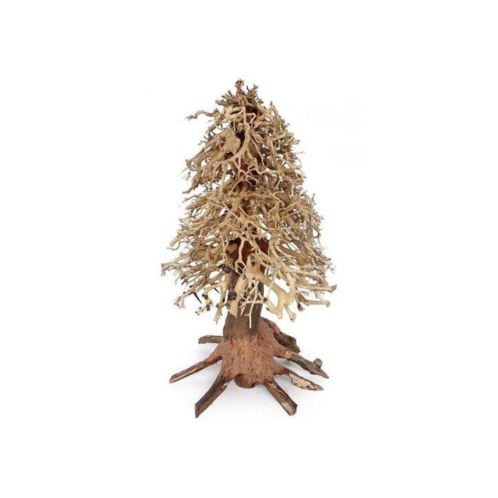 Ozami Akvaristik bonsai puu 20x30x20CM - Ozami Akvaristik