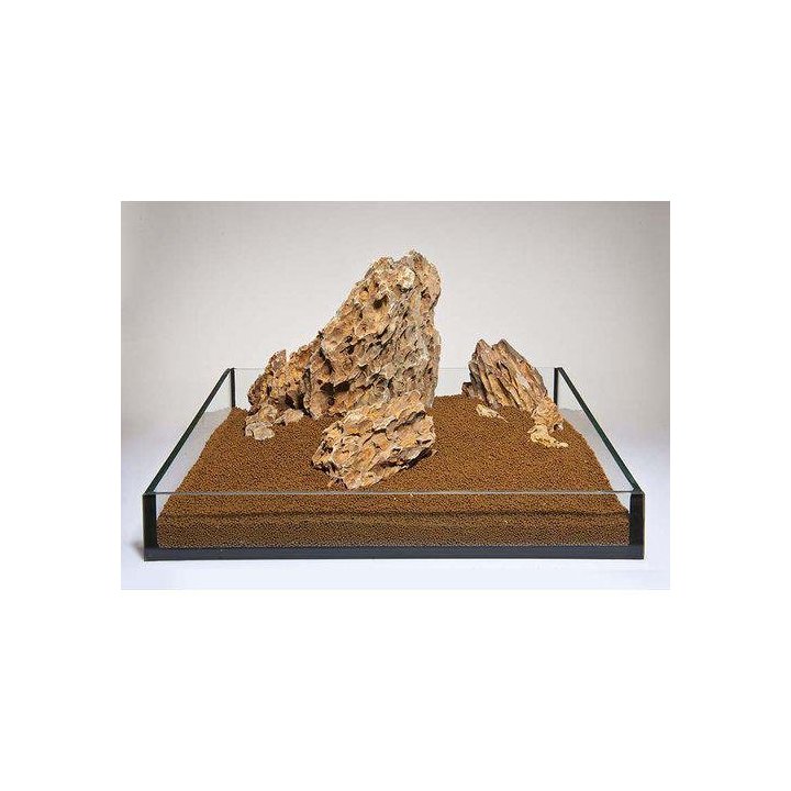 Aquadeco dragon kivi 25kpl 0.8-1.2KG -