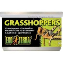 Exoterra heinäsirkat 34GR säilötty -