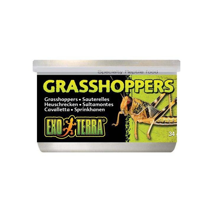 Exoterra heinäsirkat 34GR säilötty -