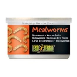 Exoterra jauhomato 34GR säilötty -