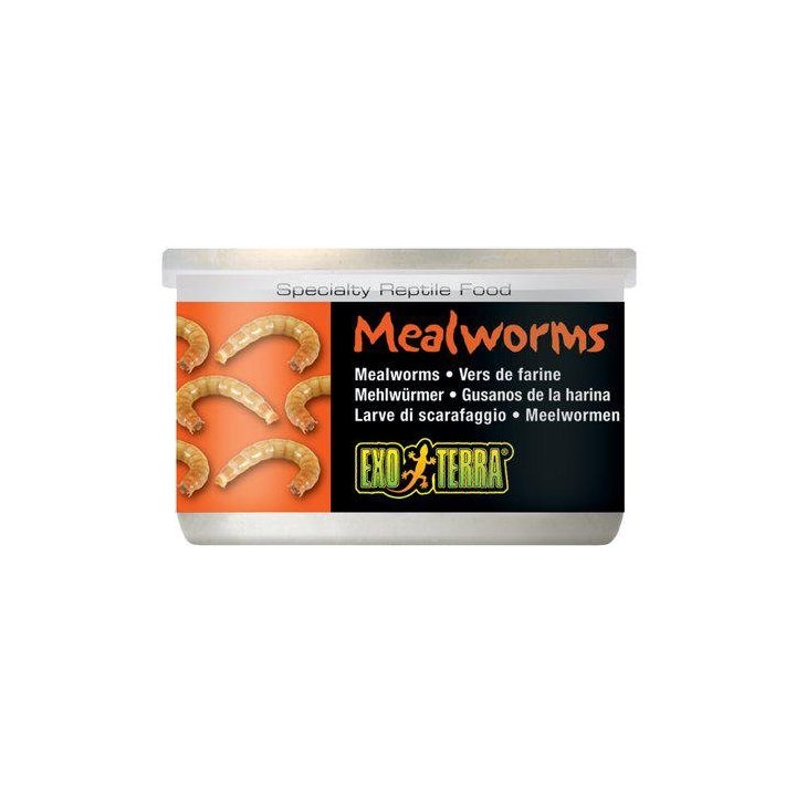Exoterra jauhomato 34GR säilötty -