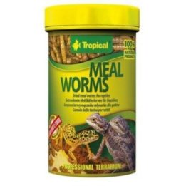 Tropical trooppinen mealworms 100ML / 13G - Tropical