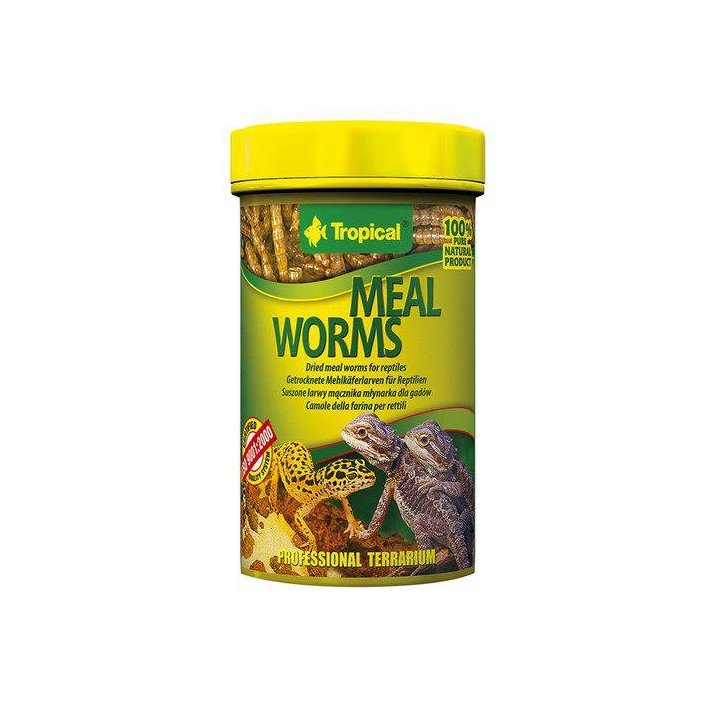 Tropical trooppinen mealworms 100ML / 13G - Tropical