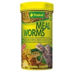 Tropical trooppinen mealworms 250ML / 30G - Tropical