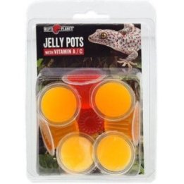 Repti Planet jelly pots fruit8kpl - Repti Planet