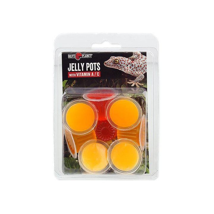 Repti Planet jelly pots fruit8kpl - Repti Planet