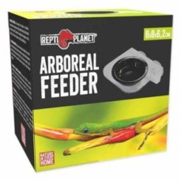 Repti Planet feeder 8x8x6CM - Repti Planet