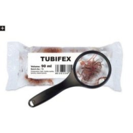 Elävä tubifex 90ML/25kpl -