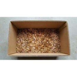 Jauhomato n. 500GR -