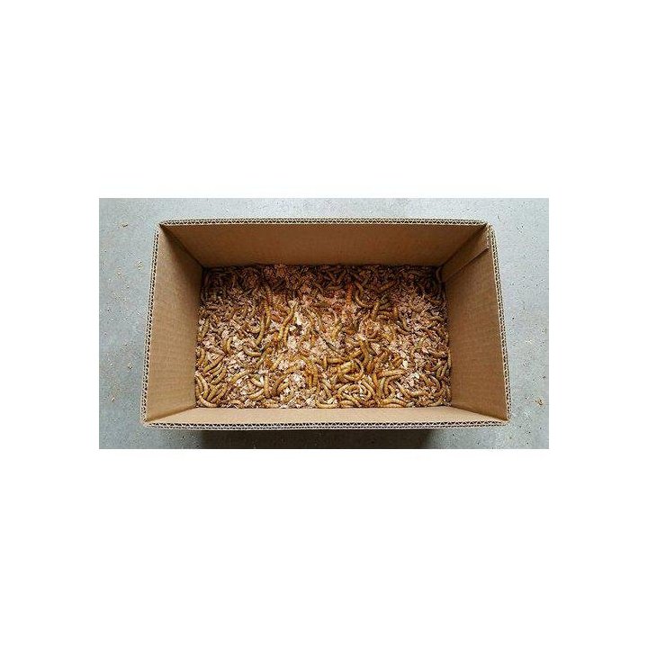 Jauhomato n. 500GR -