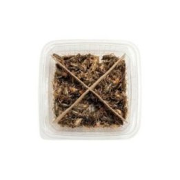 Sirkat koko 6 (sm) 30ML i muovilaatikko (ca 50kpl) -
