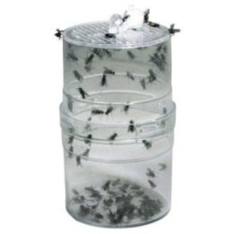 Lucky Reptile fly feeder -