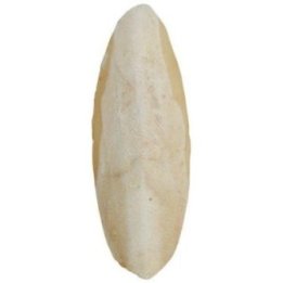 Classic seepiankuori 20CM 2250GR 1pakkaus - Classic