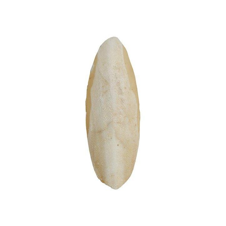 Classic seepiankuori 20CM 2250GR 1pakkaus - Classic