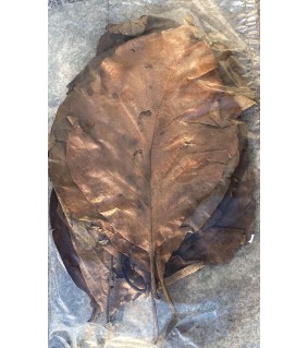 CeramicNature Teak leaves
