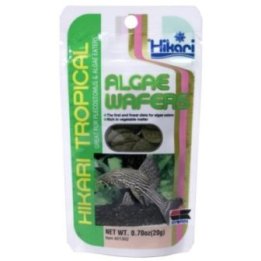 Hikari Algae Wafers uppoava täysravinto plekoille, nuolimonneille ja muille levänsyöjäkaloille.