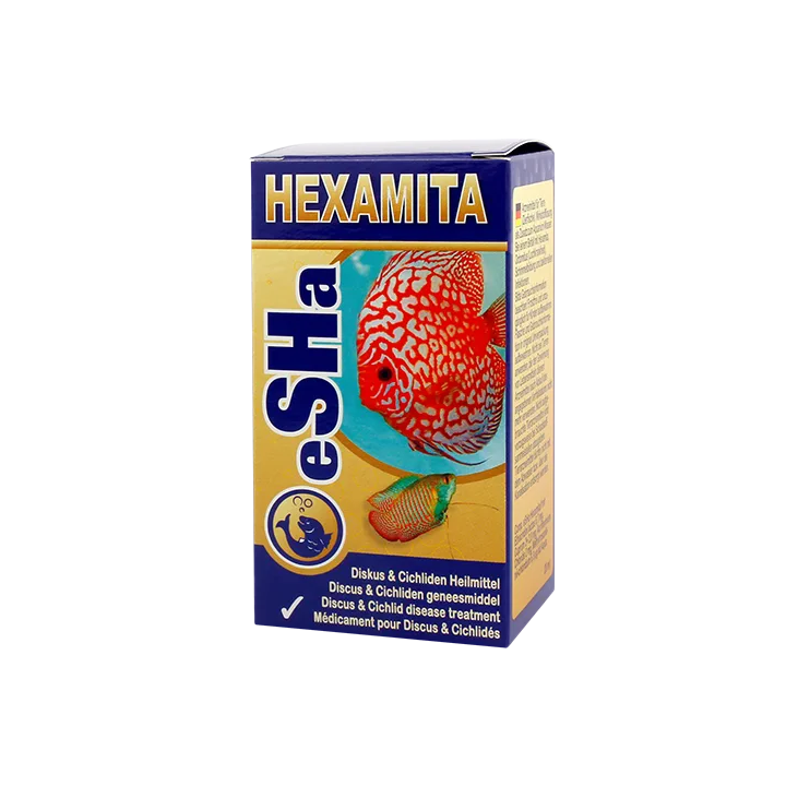 eSHa Hexamita | Akvaariokeidas