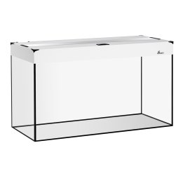 Diversa Fine Glass Aquarium | Akvaariokeidas