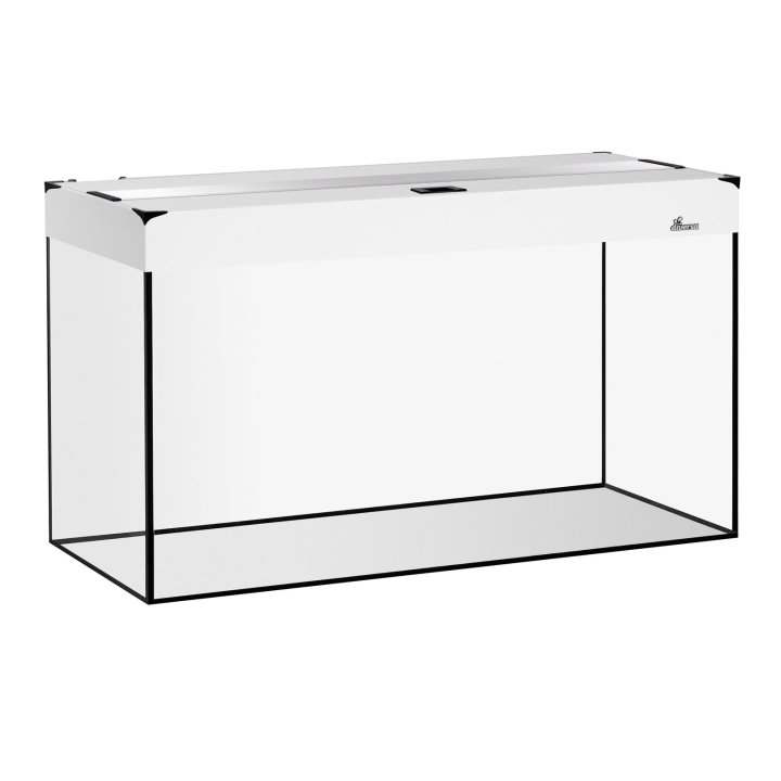 Diversa Fine Glass Aquarium | Akvaariokeidas