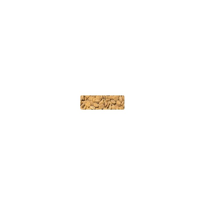 Hikari Micro Wafers pienikokoinen täysravinto pienille ja keskikokoisille trooppisille kaloille.