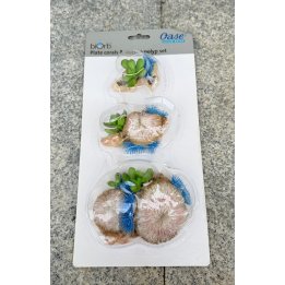 POISTOTUOTE Oase biOrb Plate Corals & Button Polyp Set