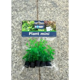 POISTOTUOTE Hobby Plant Mini tekokasvisetti 6 kpl