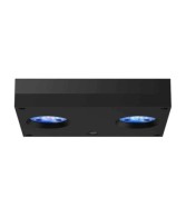AI Hydra 32 HD LED - Black (incl  EU 220V cable)