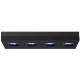AI Hydra 64 HD LED - Black (incl  EU 220V cable)