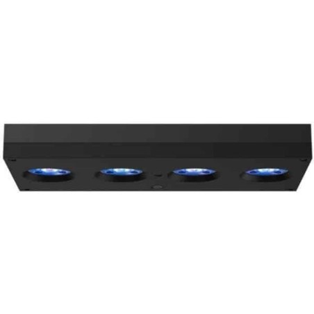 AI Hydra 64 HD LED - Black (incl  EU 220V cable)