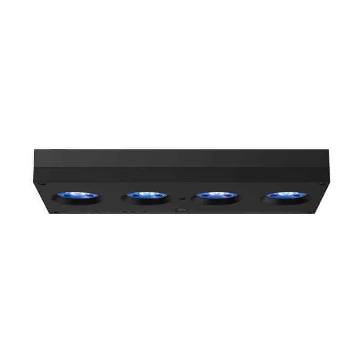 AI Hydra 64 HD LED - Black (incl  EU 220V cable)