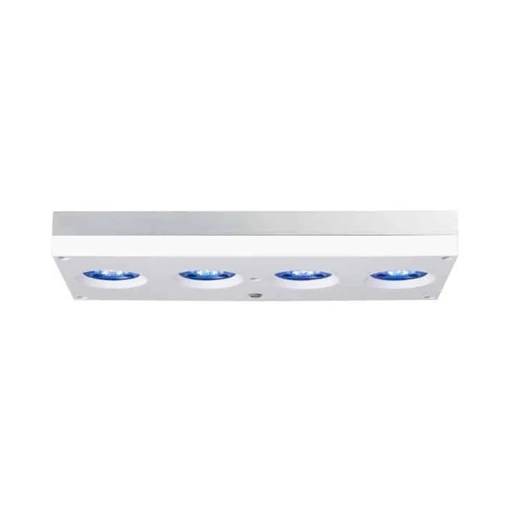 AI Hydra 64 HD LED - White/Silver (incl  EU 220V cable)