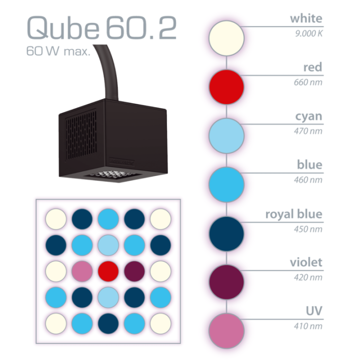Aqua Medic Qube 60.2 - Aqua Medic