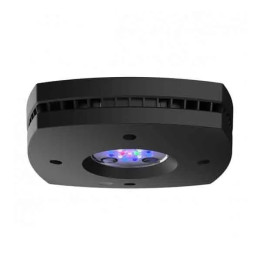 AI Prime 16 HD - Black (incl  EU 220V cable)