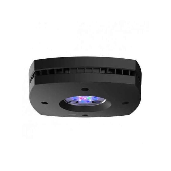 AI Prime 16 HD - Black (incl  EU 220V cable)