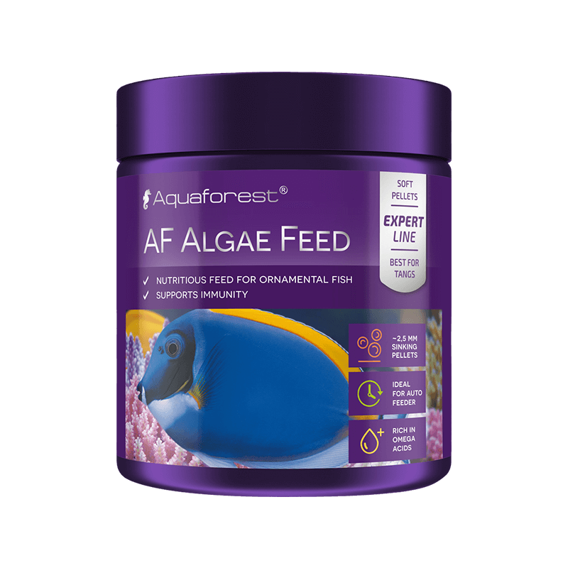 AquaForest Algae Feed L