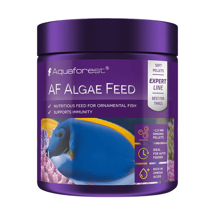AquaForest Algae Feed L