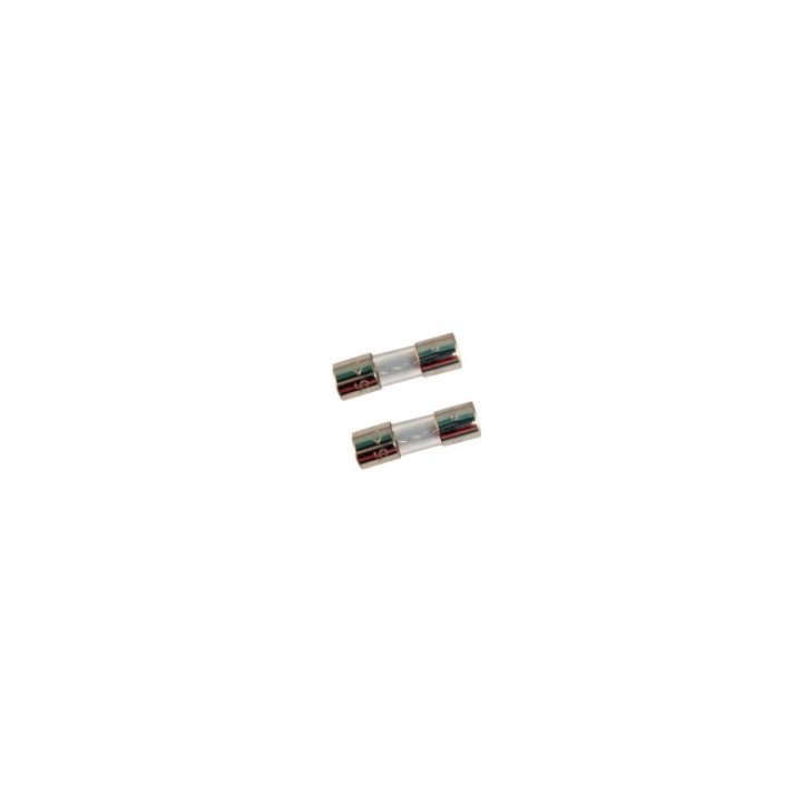 Ecotech Marine Radion XR15 Fuse 4A Set of 2 - Ecotech Marine