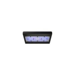 Ecotech Marine Radion XR30 G6 Blue