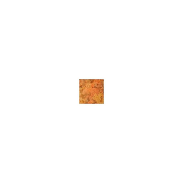 Omega One Goldfish Flakes 62 g - Omega One