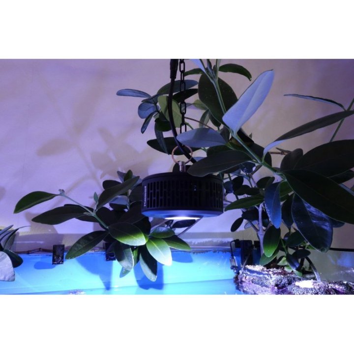 Kessil LED A360XE Tuna Blue