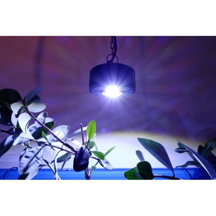Kessil LED A360XE Tuna Blue