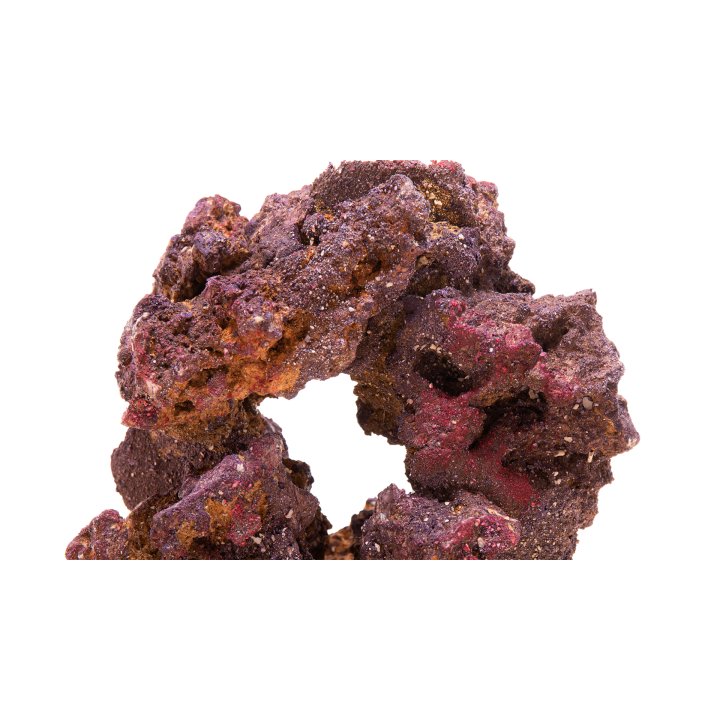 CaribSea LifeRock Donuts 4 per box