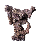 CaribSea LifeRock Reef Tree Kit with Arches