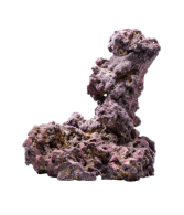 CaribSea LifeRock Shrooms 2 per box